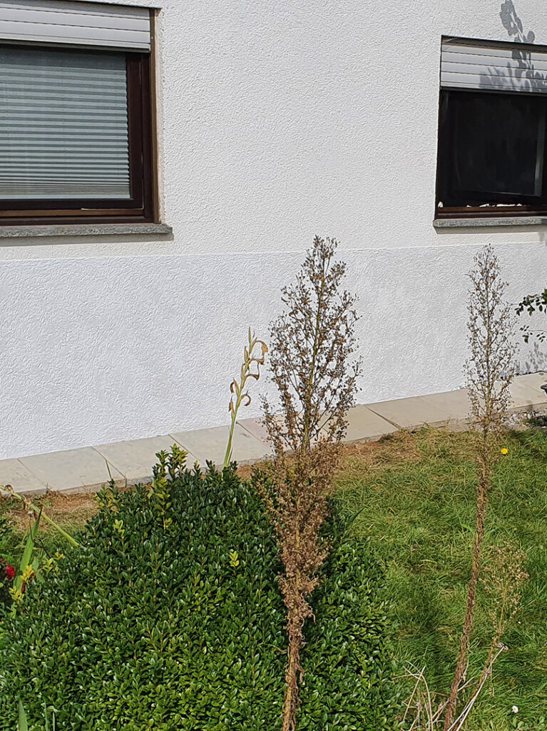kewabo® gmbh kempten referenzen